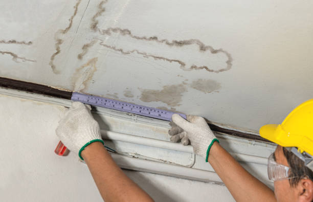 Reliable Burst Pipe Cleanup contractor in Midlothian, VA by Water Damage Irwin